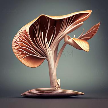 3D модель Bocydium nigrofasciatum (STL)